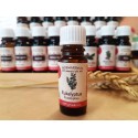Eucalyptus radiata - 100% pure natural oil Rosmarinus 1 - Rosmarinus (koreni-krumlov.cz / platce DPH) 