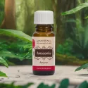 Amazonka