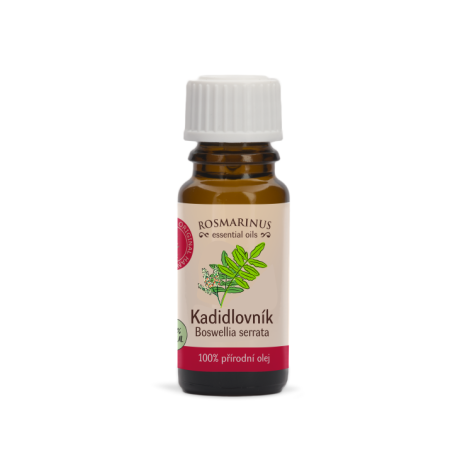 Frankincense - 100% pure natural oil Rosmarinus 1 - Rosmarinus (koreni-krumlov.cz / platce DPH) 