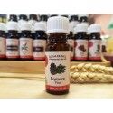 Sosna - 100% czysty naturalny olej Rosmarinus 1 - Rosmarinus (koreni-krumlov.cz / platce DPH) 
